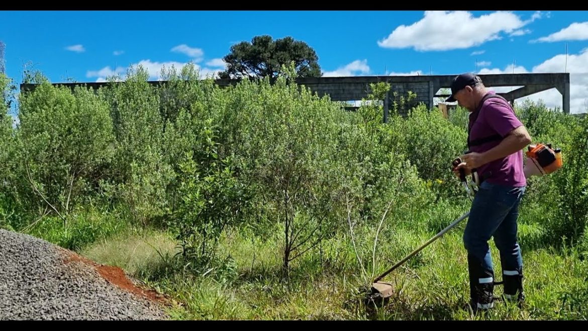 Its BIGGER than TALL GRASS – The WORST YARD-MAKEOVER on YOUTUBE for FREE! SO HARD! Its BIGGER than TALL GRASS - The WORST YARD-MAKEOVER on YOUTUBE for FREE! SO HARD!