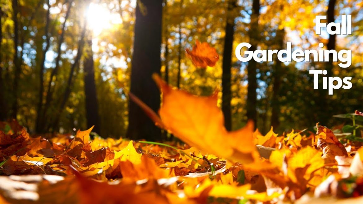 Fall Gardening Tips