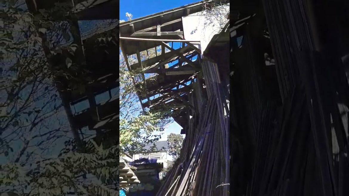 Japanese home builder bankrupt