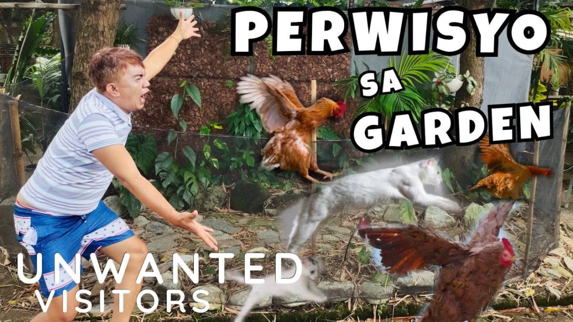 UNWANTED VISITORS IN THE GARDEN | UNEXPECTEDLY RUIN PLANTS & GARDEN PROJECTS