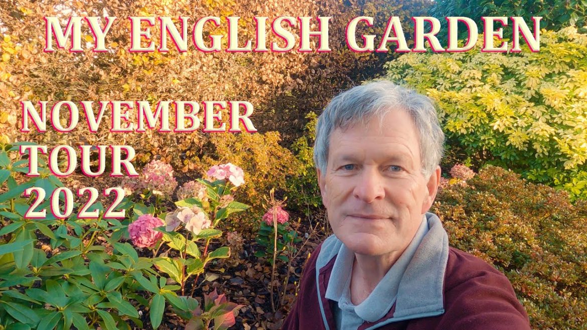 November Tour plus cuttings results - My English Garden  - 2022