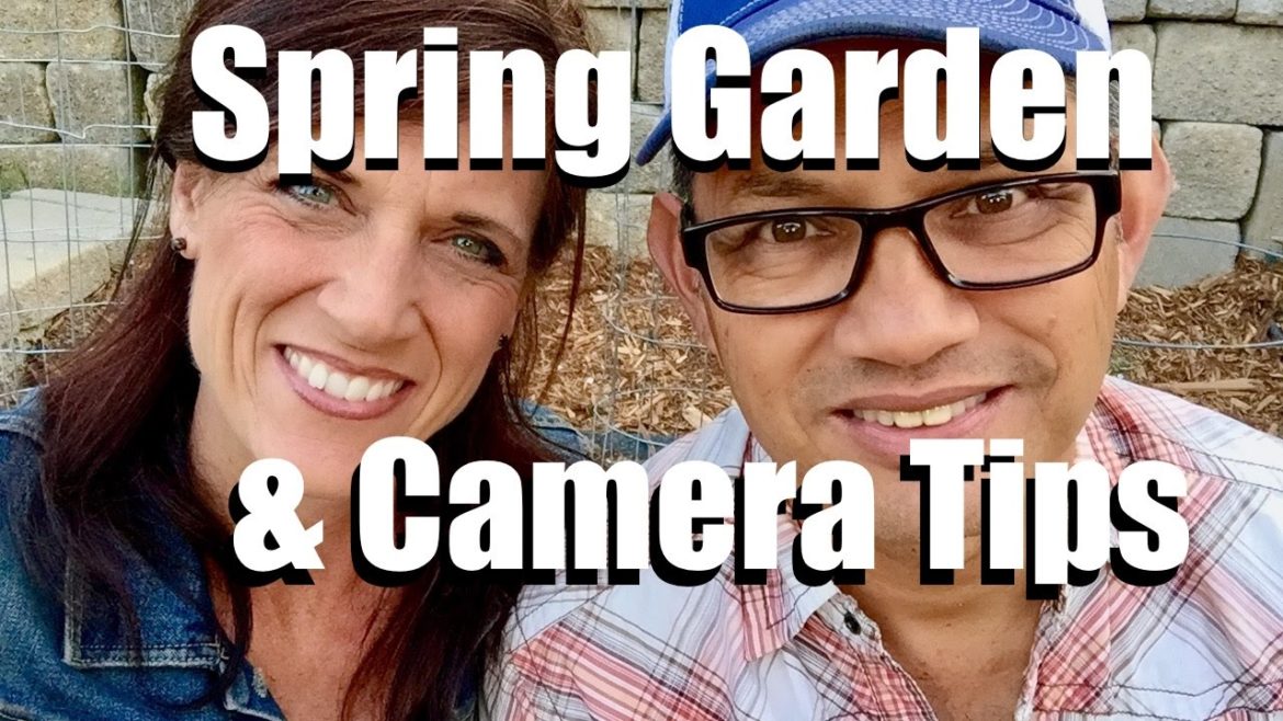 Spring Garden Tips from CaliKim's $10 Garden, Garden and Camera Q & A // LIVESTREAM (replay) Spring Garden Tips from CaliKim's $10 Garden, Garden and Camera Q & A // LIVESTREAM (replay)