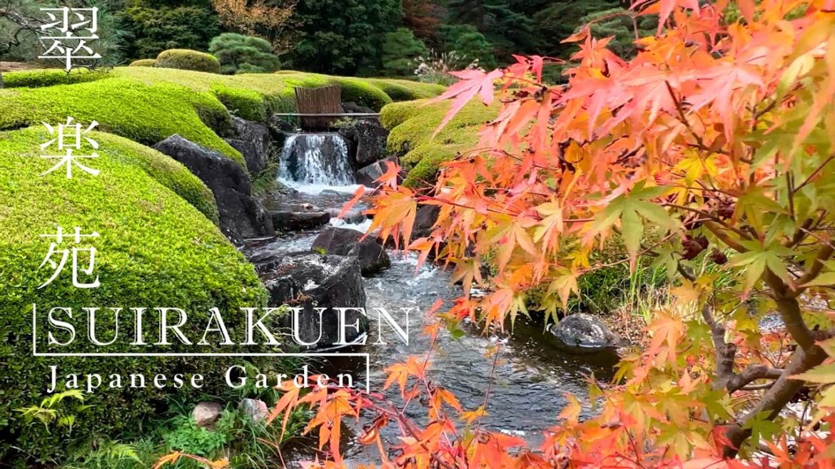 "A Lord`s Garden" Walking inside Japan`s Oldest park(SUIRAKUEN, Japan)
