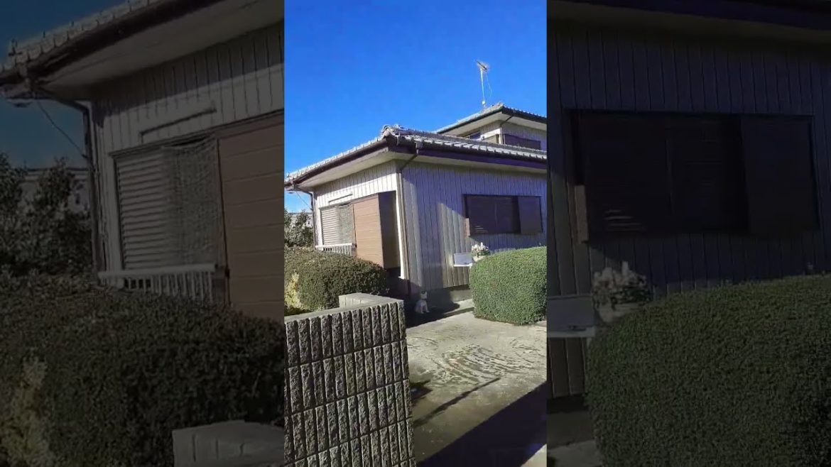 Traditional Japanese home and garden