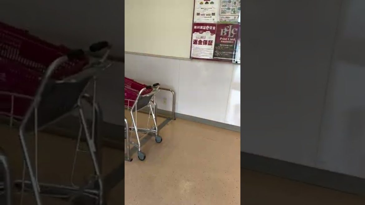 #japanbeautiful BEAUTIFUL MOUNTAIN VIEW IN JAPAN IN JAPANESE URDU LANGUAGE | CAR PARKING IN JAPAN #japanbeautiful BEAUTIFUL MOUNTAIN VIEW IN JAPAN IN JAPANESE URDU LANGUAGE | CAR PARKING IN JAPAN