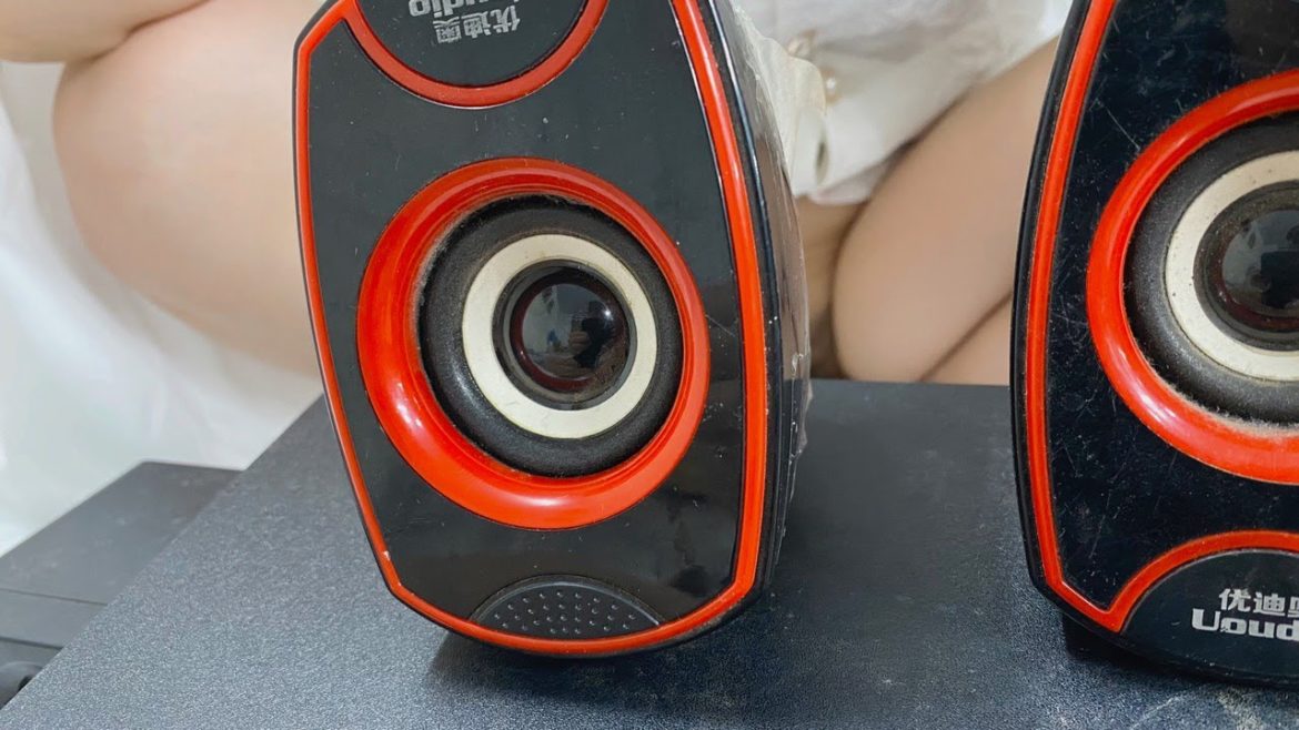 How to repair computer speakers / how to use computer speaker repair and maintenance services How to repair computer speakers / how to use computer speaker repair and maintenance services