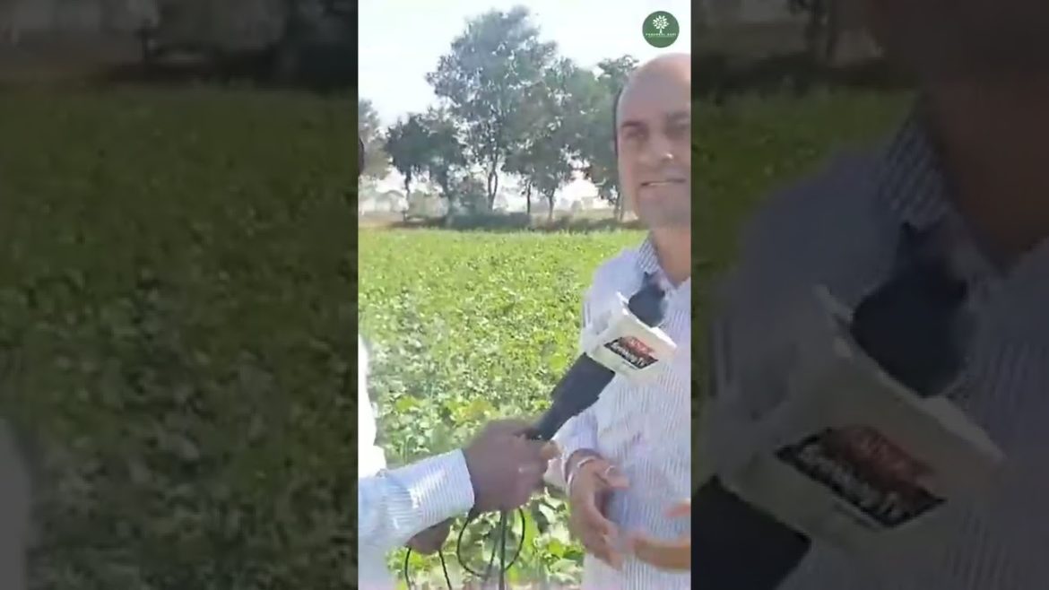 Panchkul Agri | Mustard Farming Tips | Organic Farming