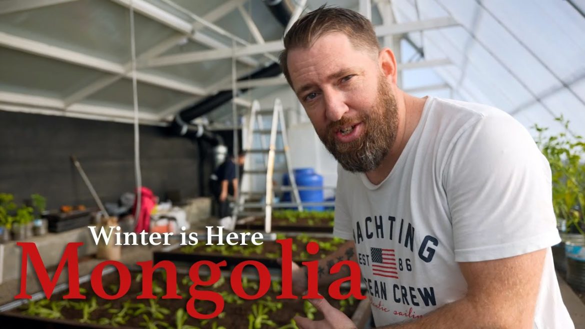 WINTER IS HERE | Planting In The Winter WINTER IS HERE | Planting In The Winter