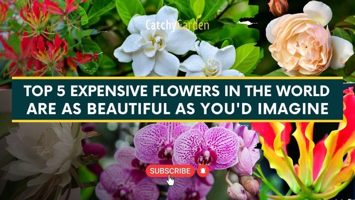 TOP 5 Expensive Flowers In The World 🍀🌺 // Gardening Tips