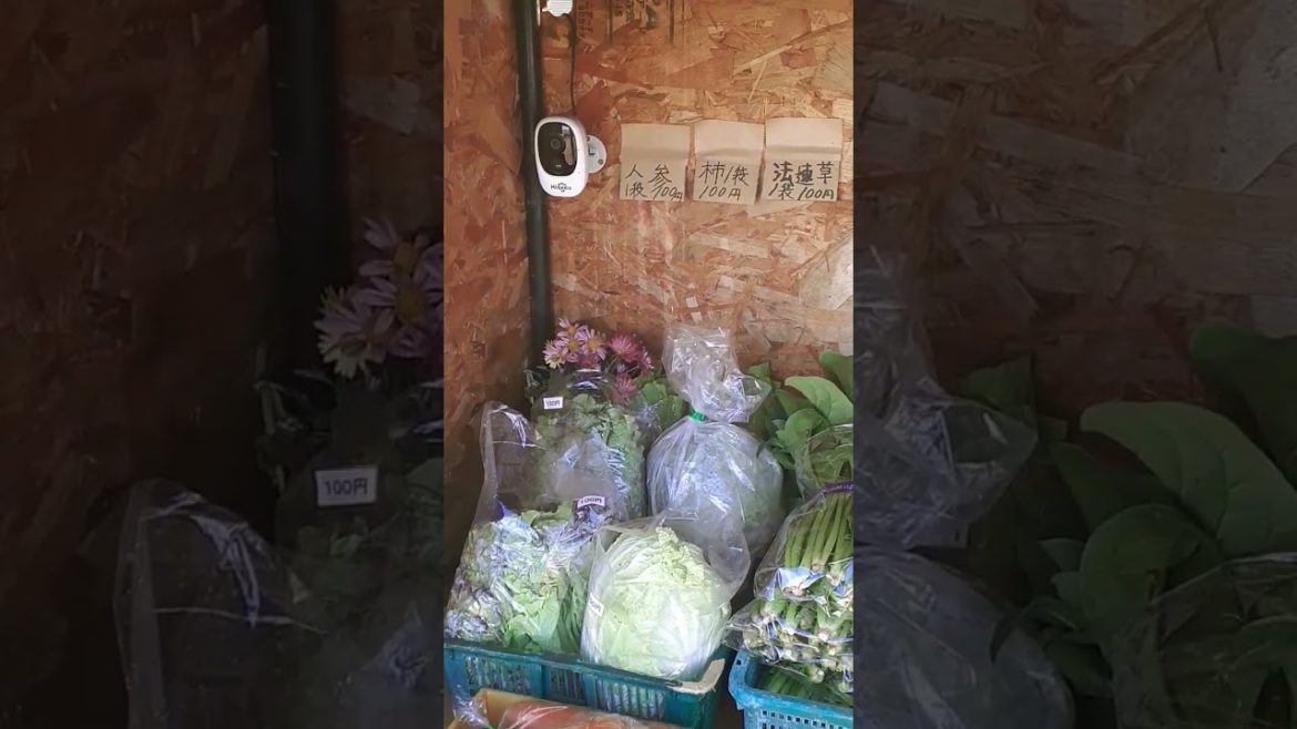 Japanese local vegetable stand