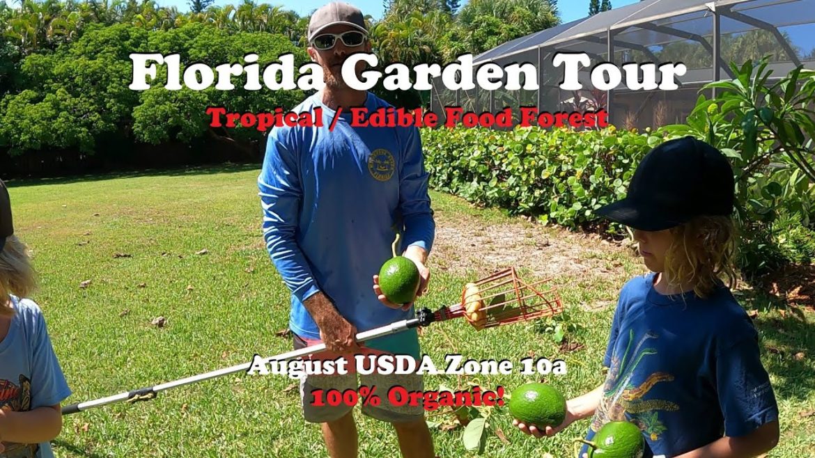 Florida Organic Edible / Tropical Garden Food Forest Tour | August Zone 10a