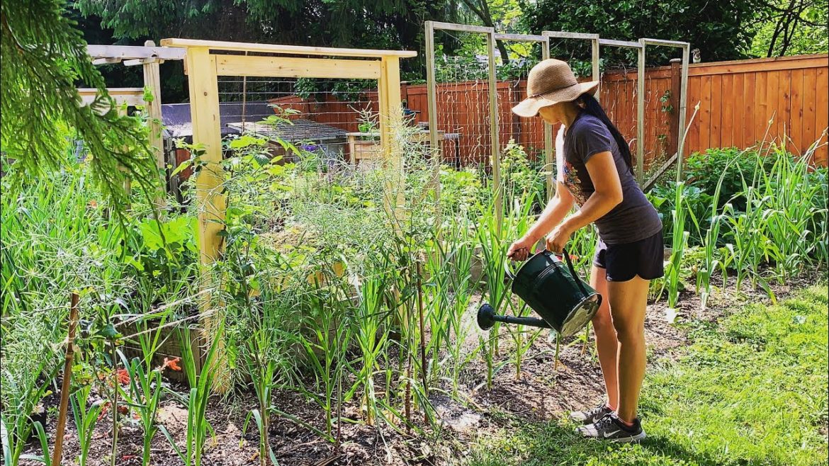 How to Use Worm Castings - Organic Gardening