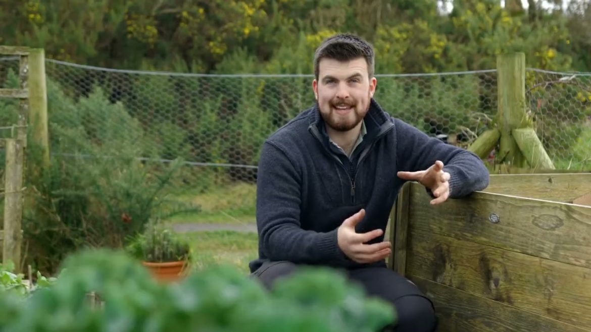 🔴 Gardeners' World 2022 | 19 Vegetable Gardening Hacks for AMAZING No Dig Harvests 2022