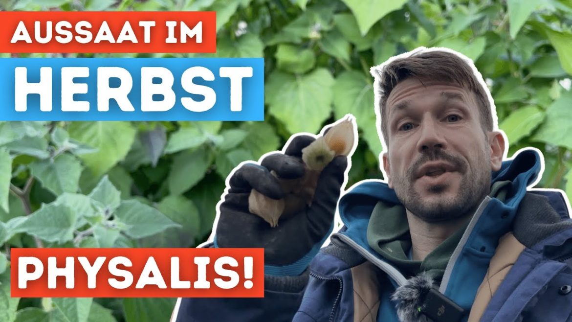 Garten Vlog #76 spezielle Aussaat im Herbst | Pflanzen überwintern im Kleingarten