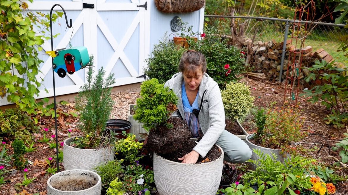 Garden Containers on a Budget with Steph and Jim