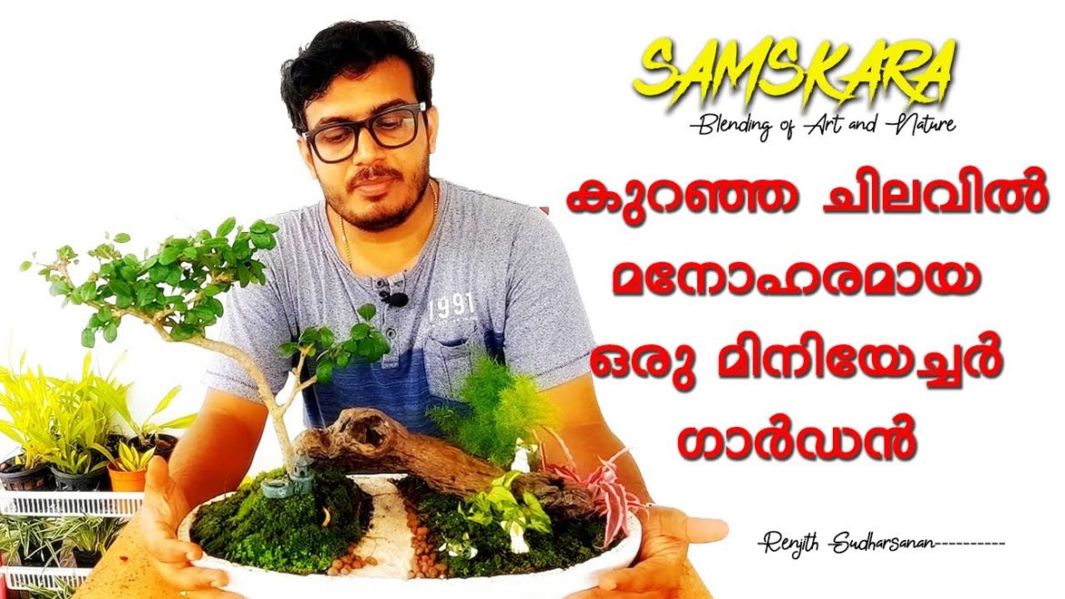 Beautiful miniature Garden at low cost  | Home Gardening Ideas | Samskara