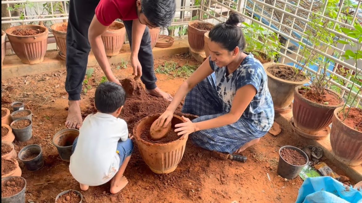 DIML|| వారం లో ఒకరోజు ఇలా గడిపి చూడండి || gardening work || how to do grow vegetables at home #vlog DIML|| వారం లో ఒకరోజు ఇలా గడిపి చూడండి || gardening work || how to do grow vegetables at home #vlog