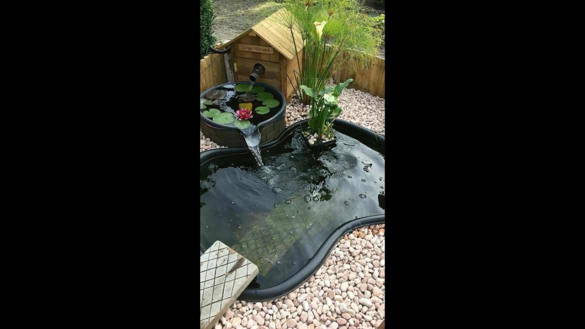 🌻Amazing garden decor🌹 #shorts