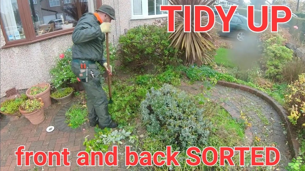 Front and back garden TIDY UP  sorted LHL style