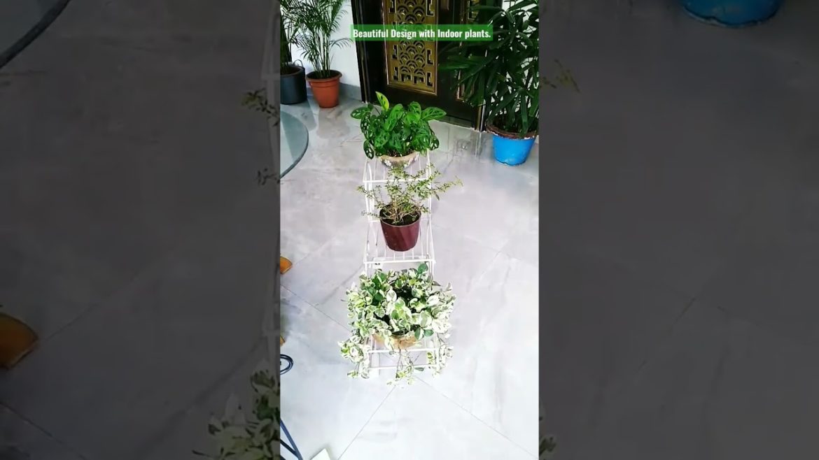 Beautiful Design with Indoor plants for all. Best environmental protection. #shorts