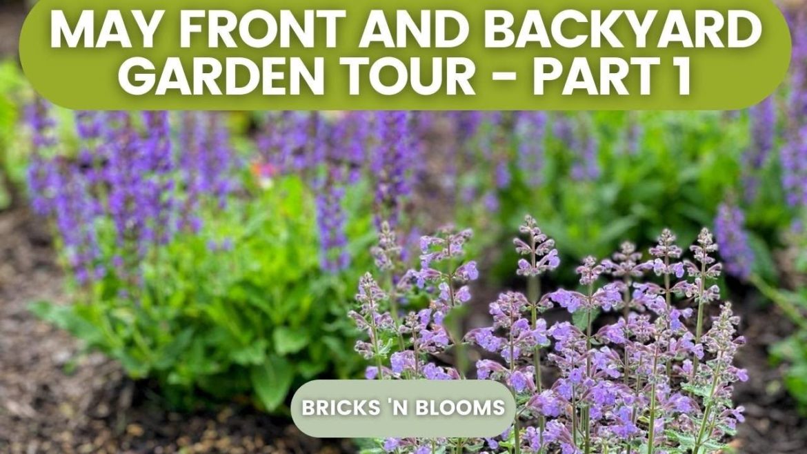 MAY FRONT AND BACKYARD GARDEN TOUR Part 1 // Cottage Garden Plants // Bricks ’n Blooms MAY FRONT AND BACKYARD GARDEN TOUR Part 1 // Cottage Garden Plants // Bricks ’n Blooms