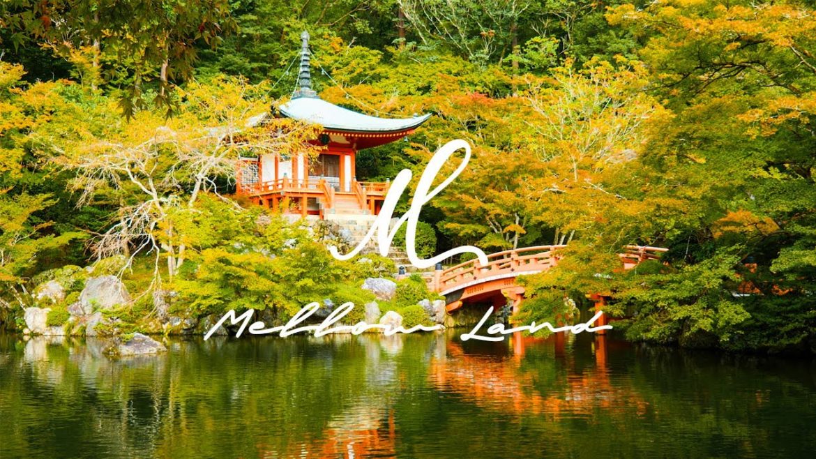 Chilling in Japanese Garden - 오늘도 차분하게, 그리고 편안하게🌼 Have a Nice Day