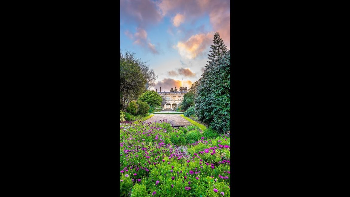 π Incredible Garden Decoration Ideasπ #shorts π Incredible Garden Decoration Ideasπ #shorts