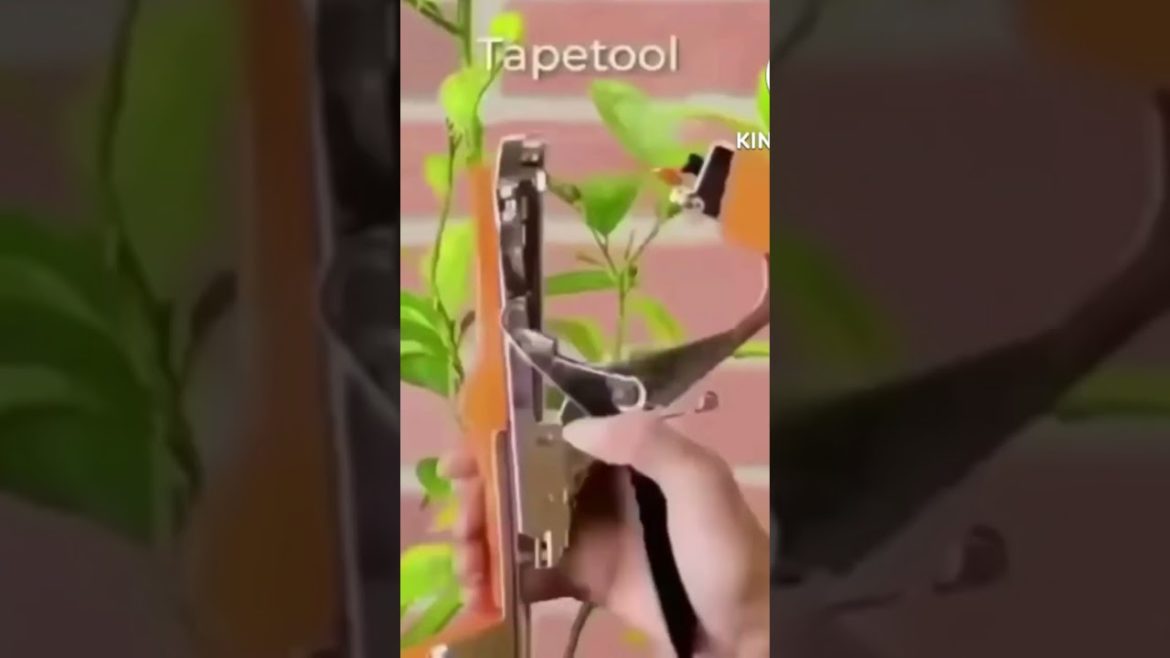 Gardening Tips Awesome video