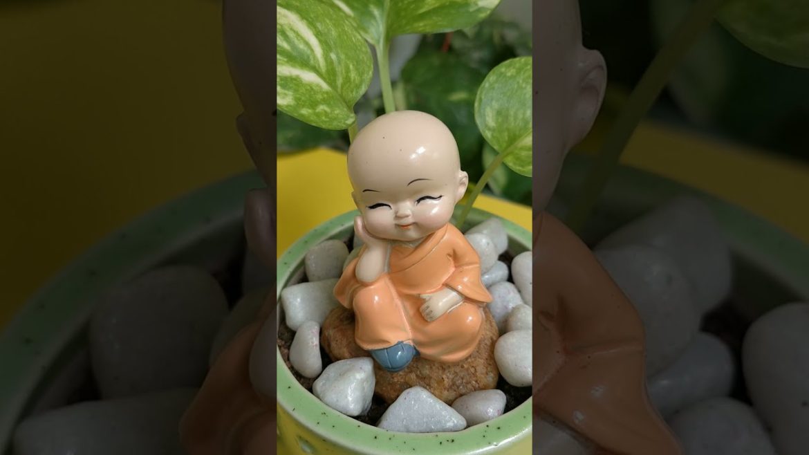 Miniature Zen Garden | Zen Garden Ideas | DIY