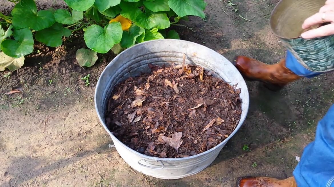 Organic Backyard Garden. Worms, Castings, Compost, Fertilizer