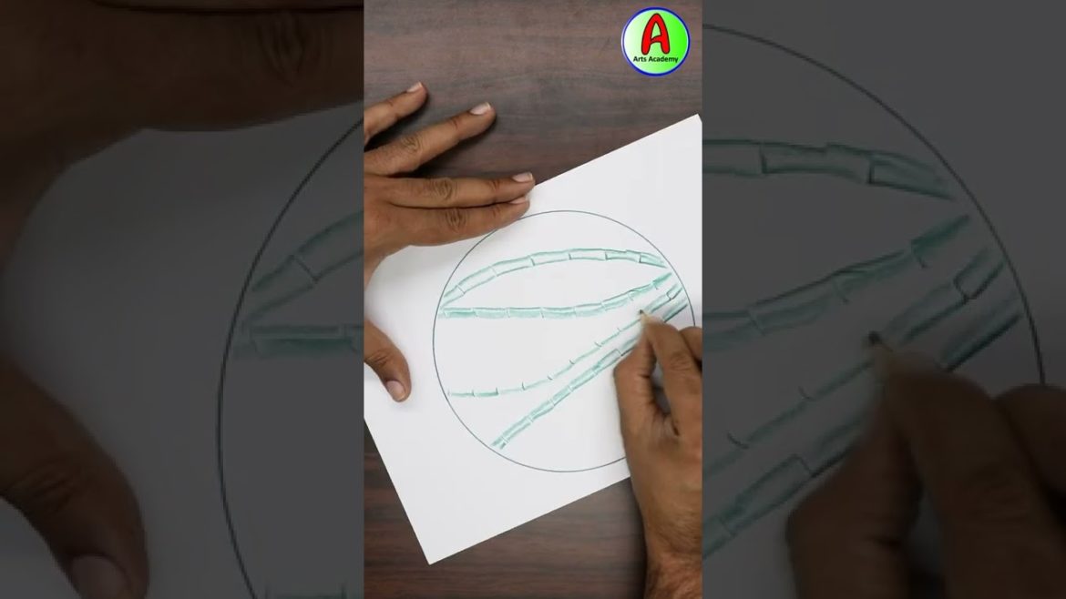 How To Make Bamboo Tree Drawing #shorts #youtubeshorts #colorpencildrawing #creativeart #art How To Make Bamboo Tree Drawing #shorts #youtubeshorts #colorpencildrawing #creativeart #art