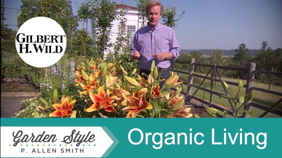 Tips & Recipes for an Organic Lifestyle | Garden Style (1515)