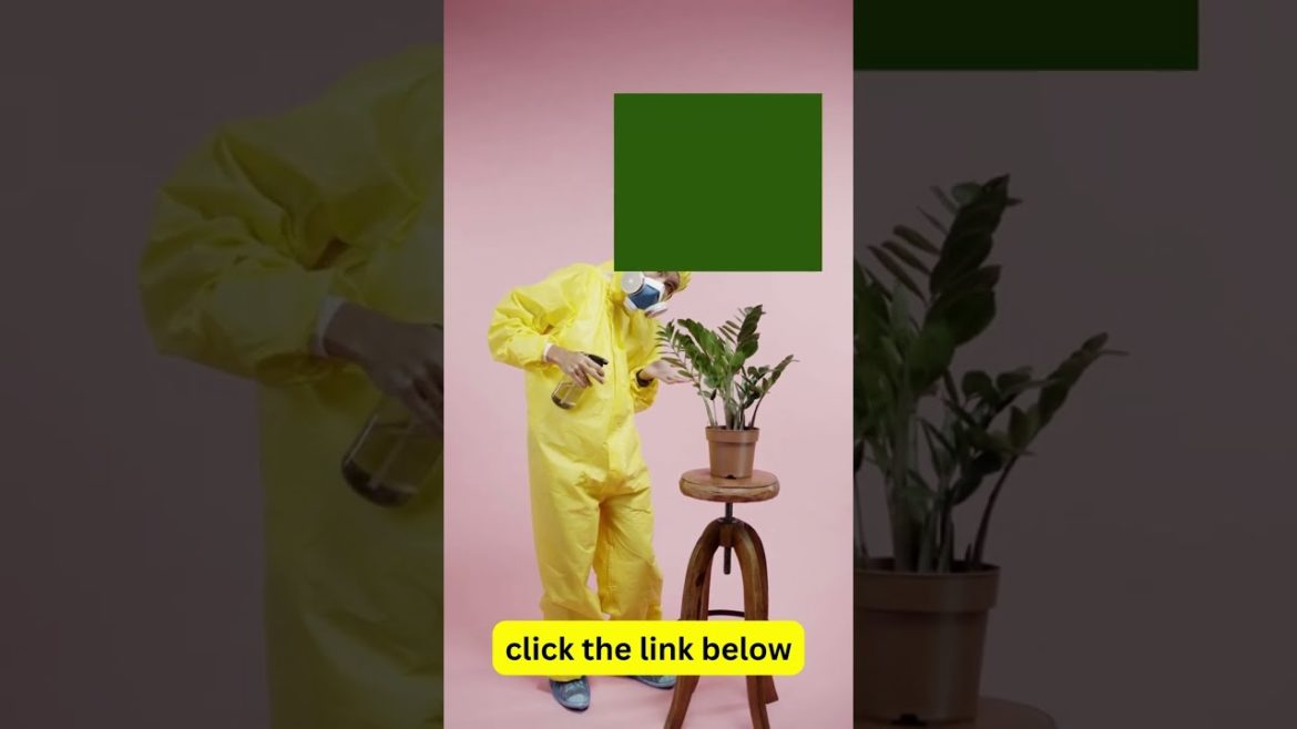 10 Tips for Winter Organic Gardening