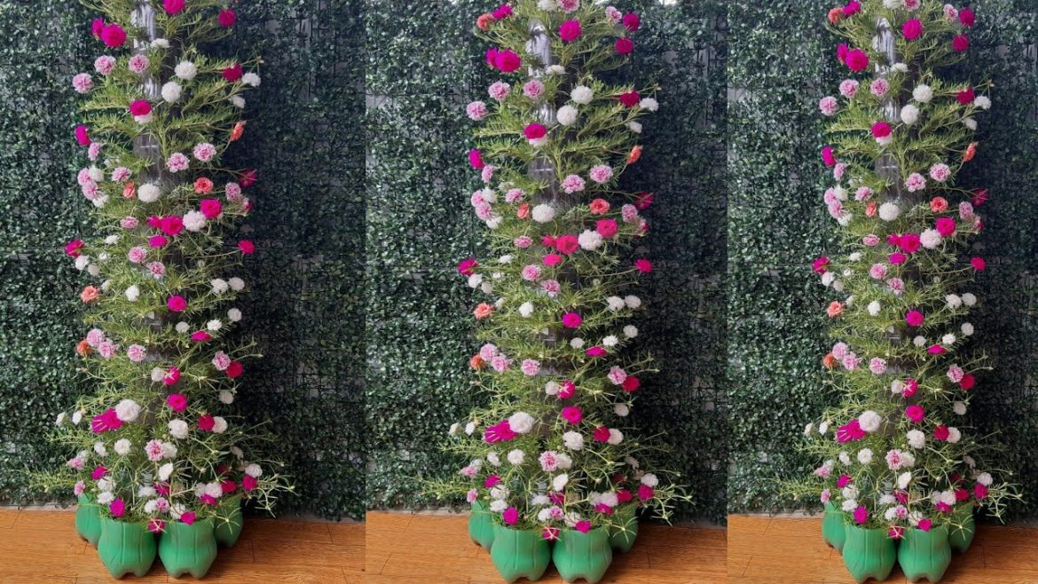 GARDENING IDEAS-TOWERED MOSS ROSE IN PLASTIC BOTTLES