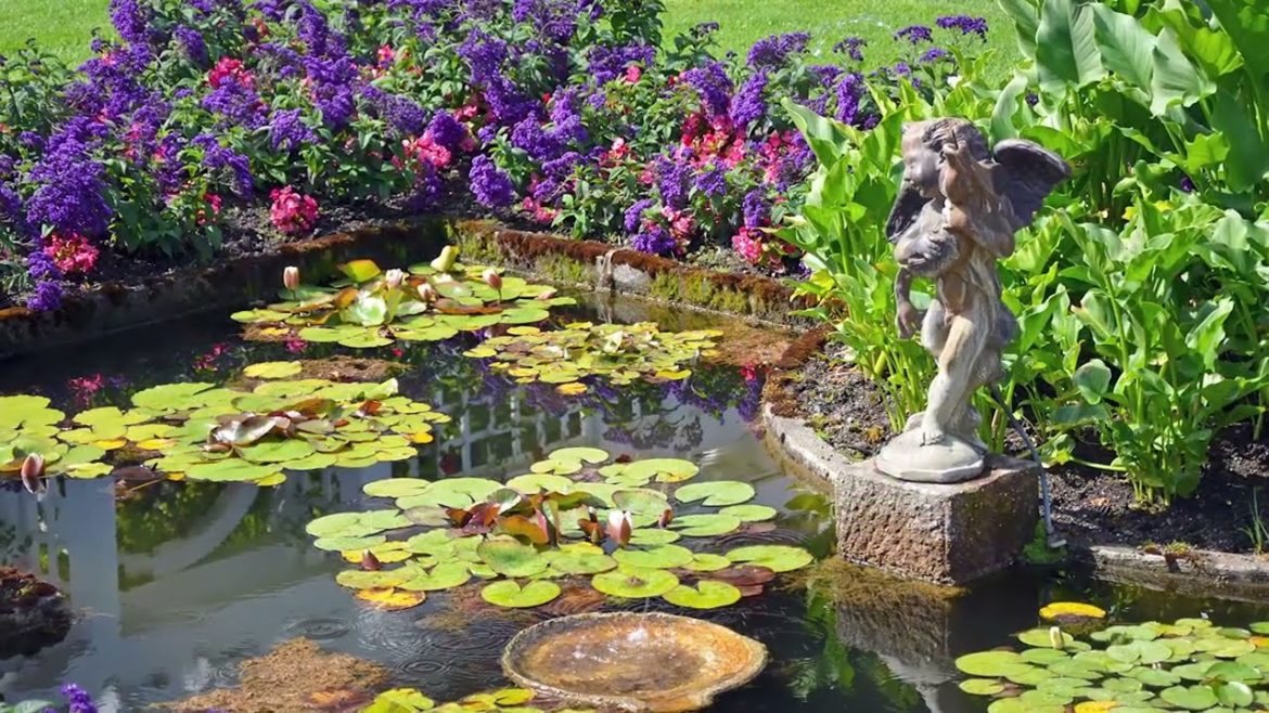 💡 Ideas for beautiful decorative ponds near the garden house 💡