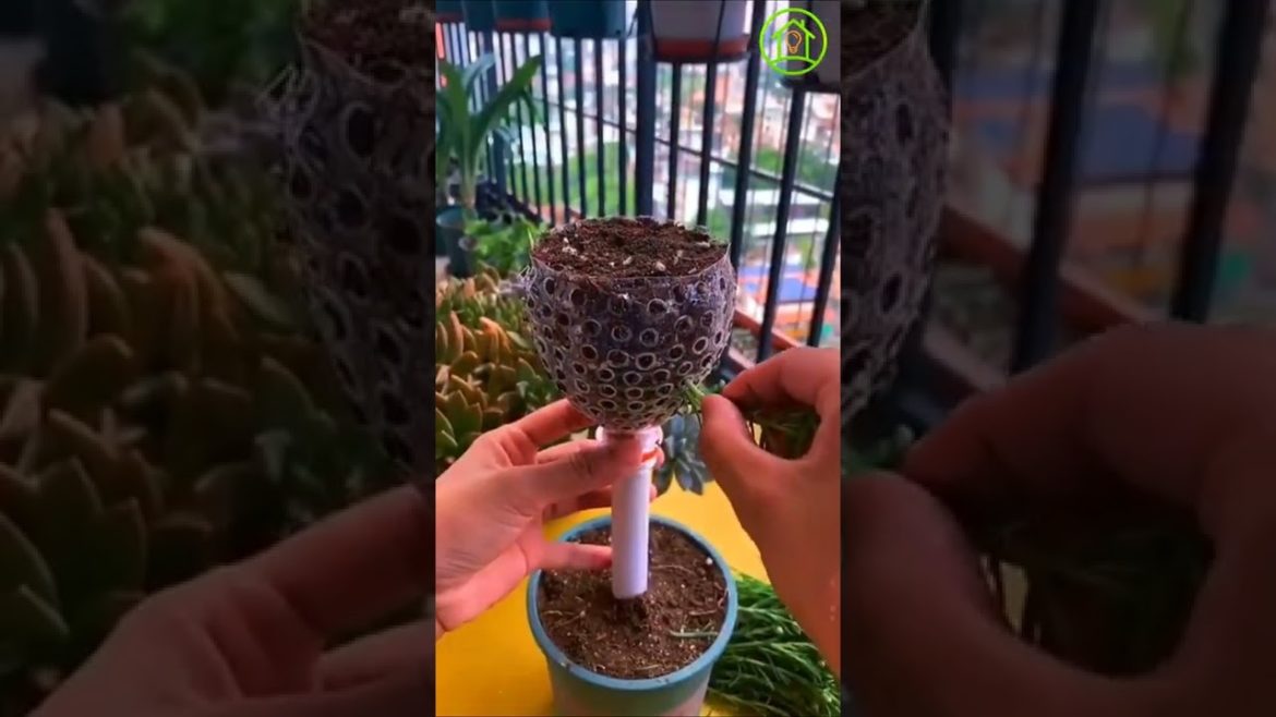 🌼DIY Hack for home garden🌸 #shorts