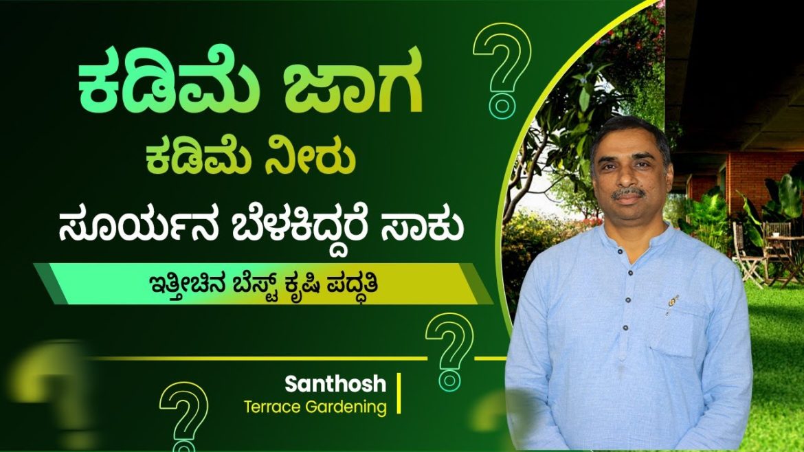 Terrace Gardening Is The Latest Best Form Of Agriculture In India | Terrace Gardening? Santhosh Terrace Gardening Is The Latest Best Form Of Agriculture In India | Terrace Gardening? Santhosh