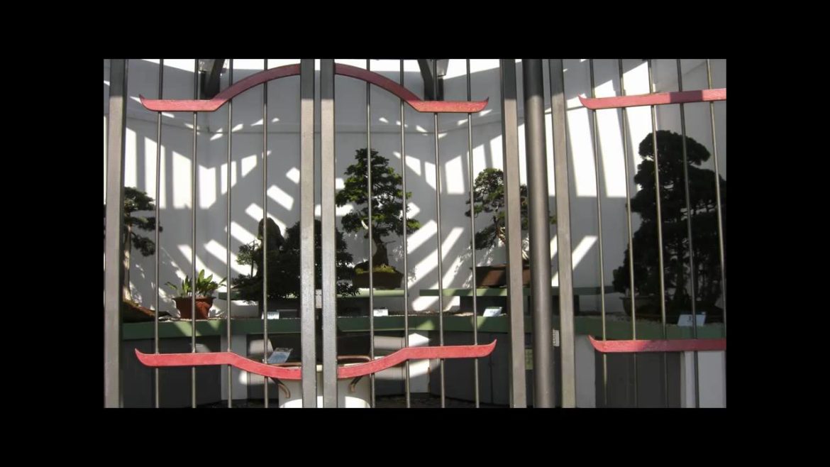 Bonsai & Japanese Style Garden 日本庭園 At Birmingham Botanical Gardens