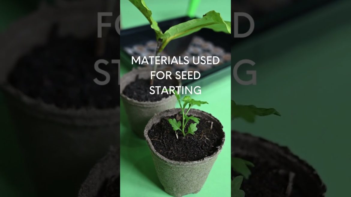 No Fuss & Affordable ! Easy indoor grow lighting products for beginner gardeners #shorts