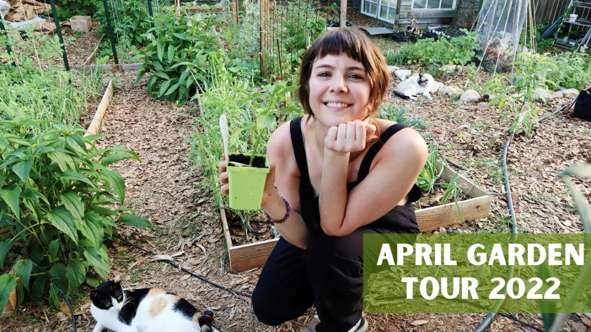 April Backyard Garden Tour | Things are blooming in Austin, TX! See what I'm growing this spring '22