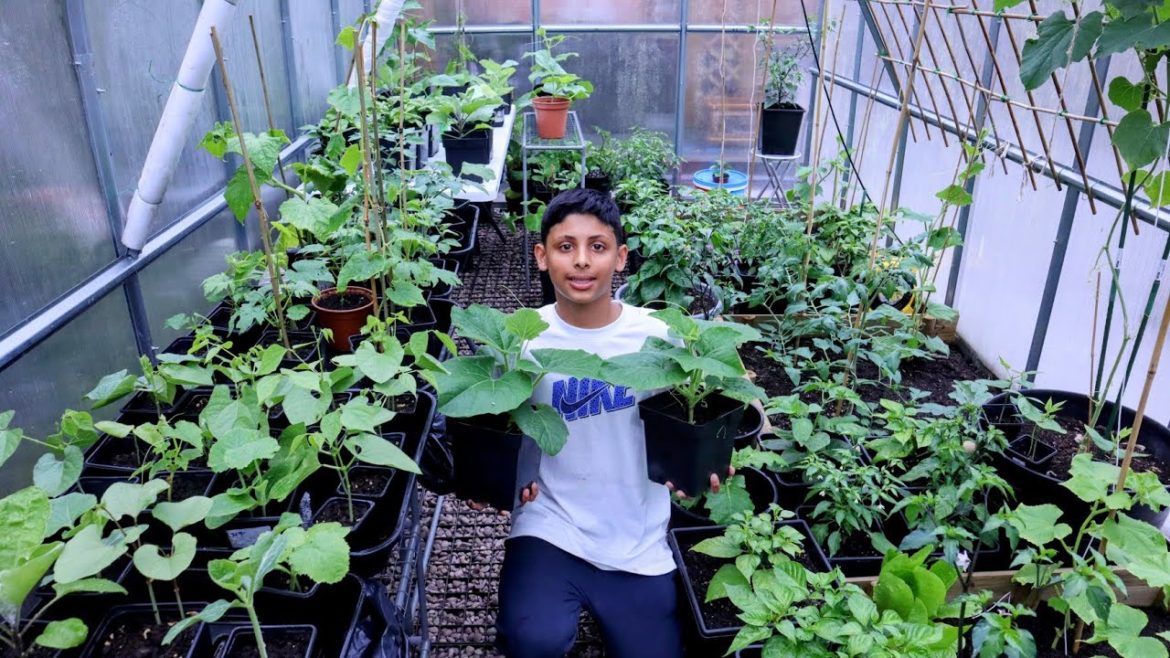 Hardening Off Indoor Plants - Garden Tips And Updates
