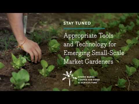 Appropriate Tools And Technology For Emerging Small-Scale Market Gardeners Appropriate Tools And Technology For Emerging Small-Scale Market Gardeners