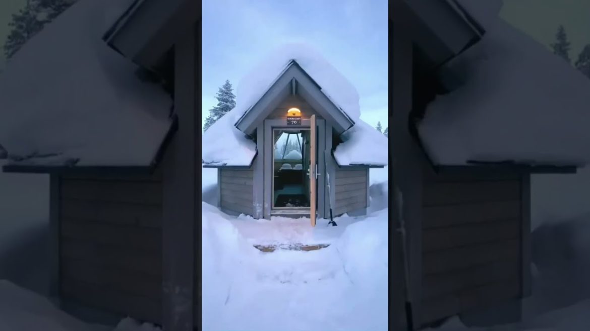 Little Cabin Build Update First Snow! #shorts