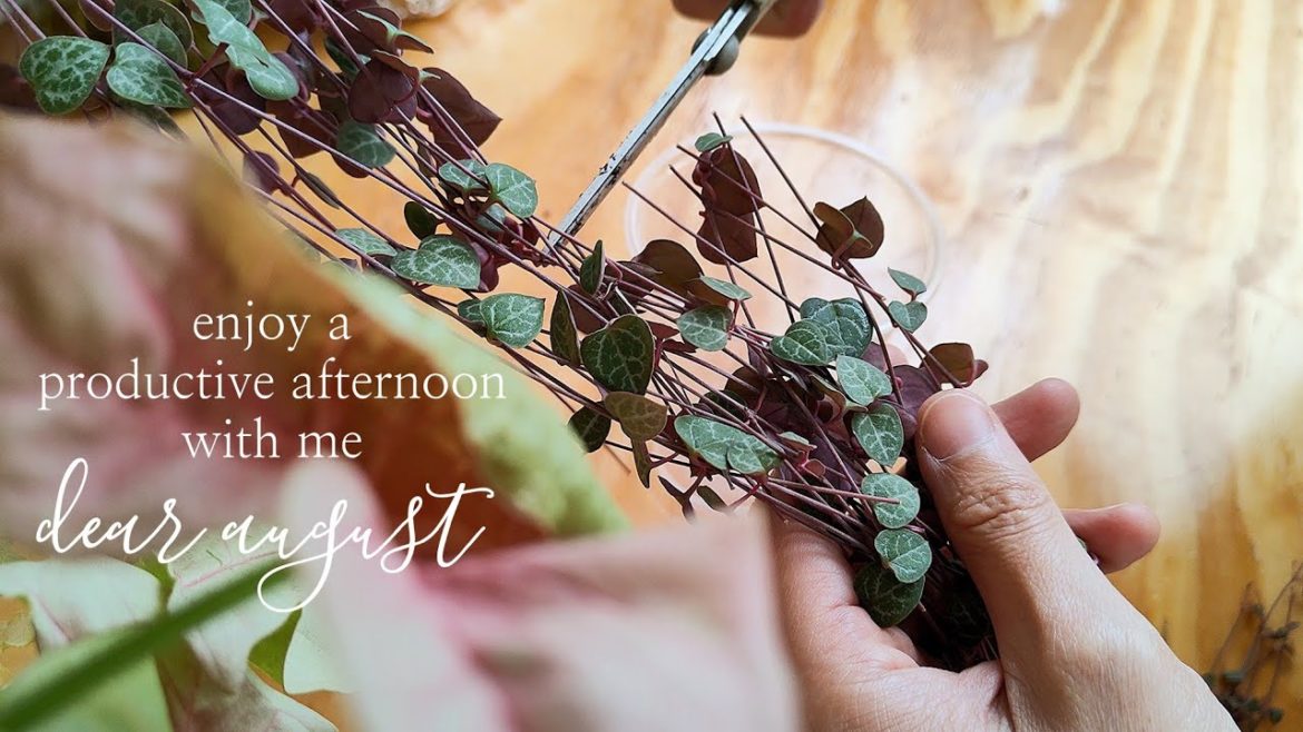 A Day in May | Spending Time in the Garden | A Warm Home-Cooked Meal | SLOW LIVING COUNTRY VLOG A Day in May | Spending Time in the Garden | A Warm Home-Cooked Meal | SLOW LIVING COUNTRY VLOG