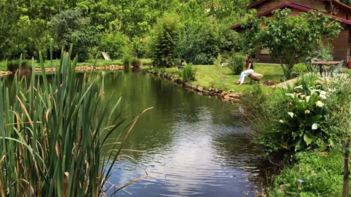 Eye rejoices and the soul sings. 💡Incredibly beautiful ponds in summer cottages. Pond design ideas. Eye rejoices and the soul sings. 💡Incredibly beautiful ponds in summer cottages. Pond design ideas.