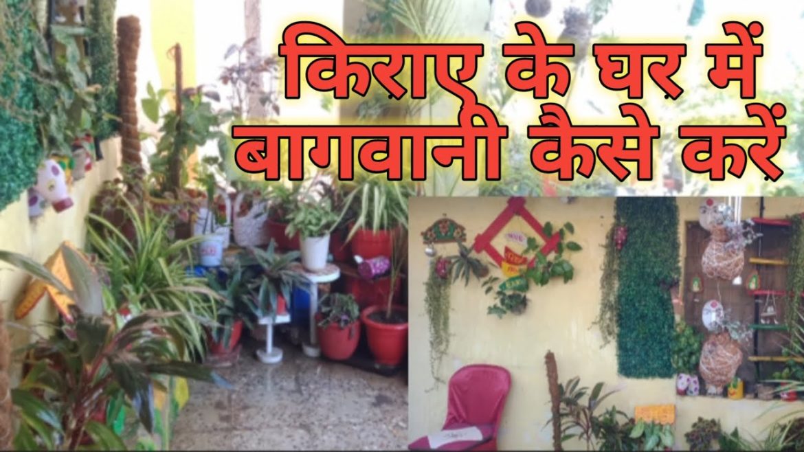 Rental House Gardening Ideas 2022 hindi/ Rental Home Garden Decoration