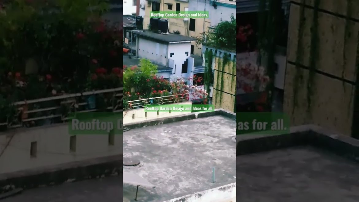 Rooftop Garden Design and Ideas for all. ##shorts Rooftop Garden Design and Ideas for all. ##shorts