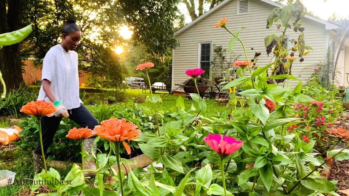 A Gentle End to the Summer Garden welcoming the Fall and Winter Garden/ Water bath can tomatoes/#45