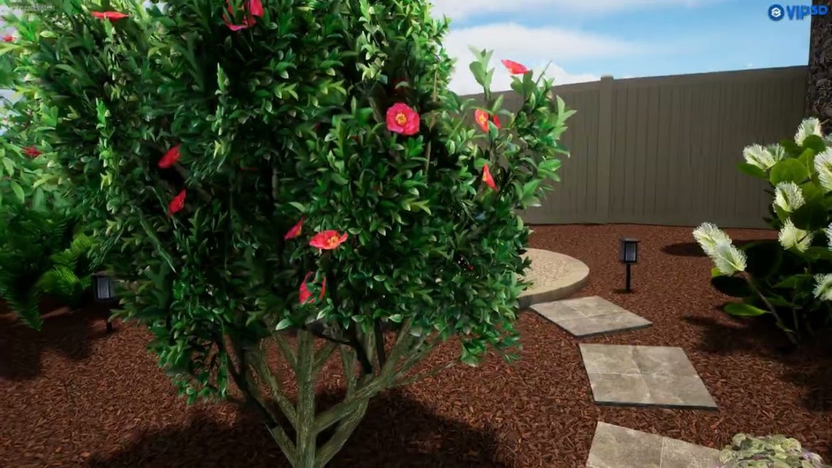 Powell Backyard Design 11.29.22