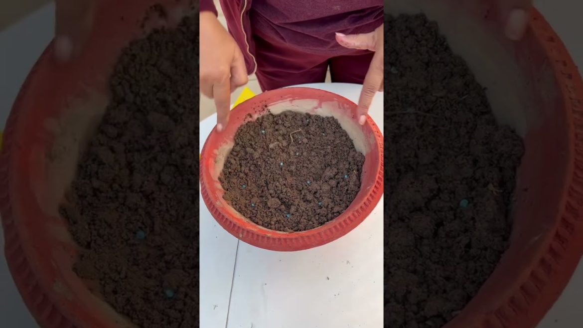 आसान है!!